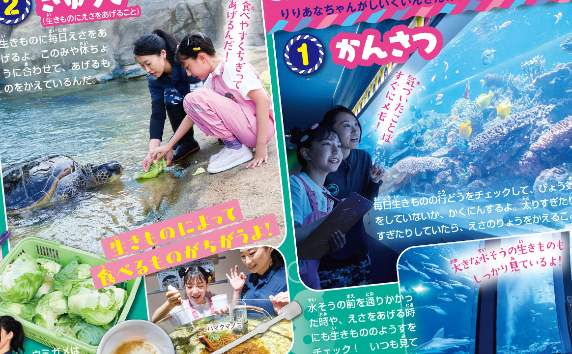 水族館のひみつ大ちょーさ!